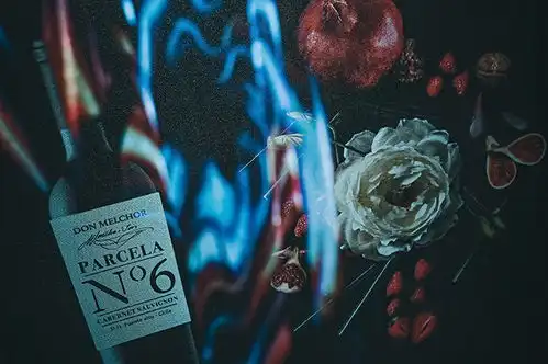  非凡入口,焕新灵感魔爵红2019年份品鉴晚宴亮相j酒店