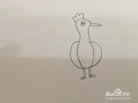  简笔画绘画孔雀