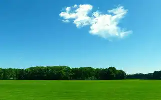  草原景色清新自然花草绿地草地丛林图片素材模板下载2.09mb其他大全标志丨符号