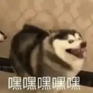 逗比头像沙雕狗子