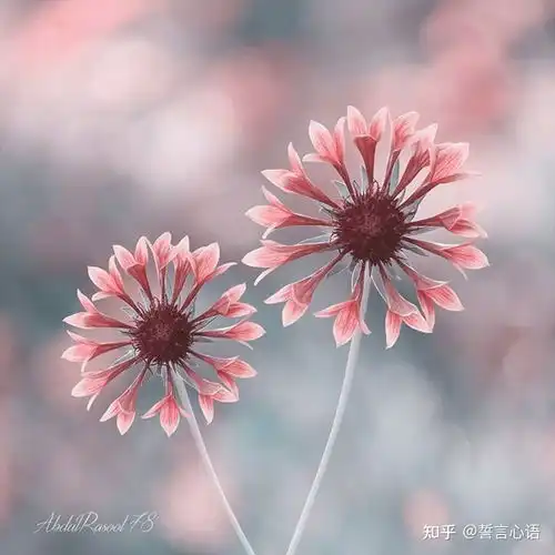  适合写给自己的人生格言,句句穿透人心
