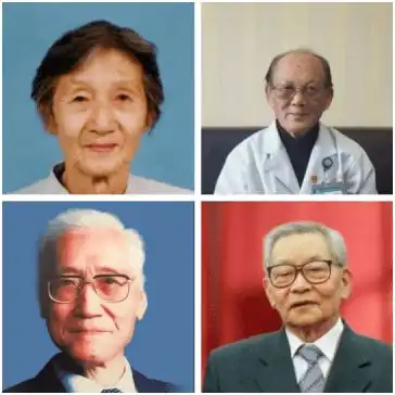  侨这一年,那些感人时刻