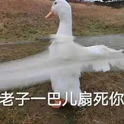  斗图表情包合集帅起来我自己都怕