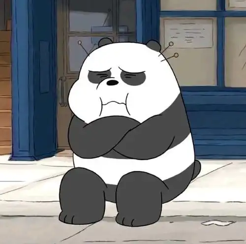 酷小熊头像三只小熊