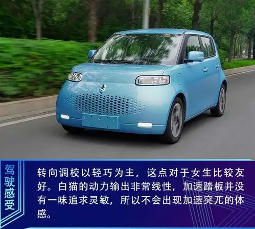  都市新萌宠抢先试驾欧拉白猫