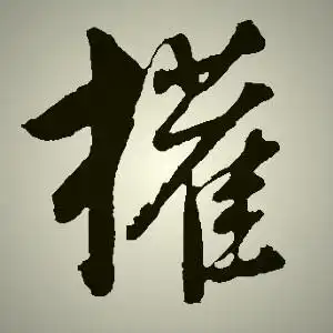  求权字的头像