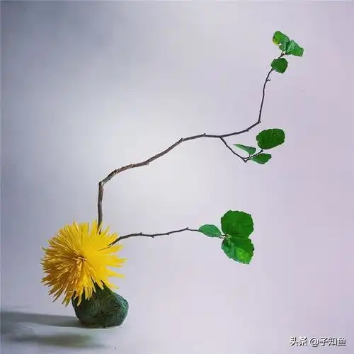  善于隐藏,容易被人低估的星座爱你的时候,刹那即是永恒