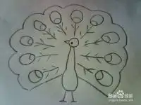  孔雀的简笔画画法