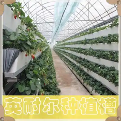  温室基质槽草莓立体种植槽可定制
