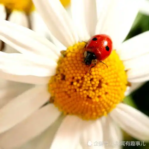  12月好运扎堆惊喜不断的星座添福又发财赚的钱财花不完