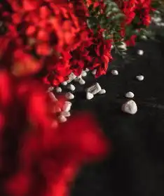  姓名的含义私人订制婚礼