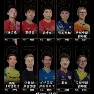  林诗栋,世界第一