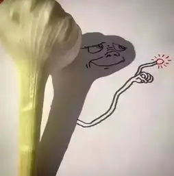  脑洞大开用影子作画,这个外国人酷毙了