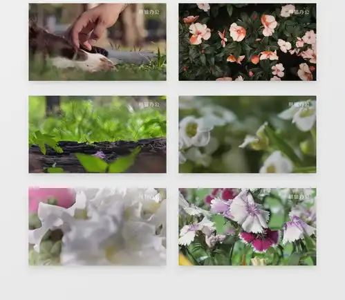  清新自然花朵特写风光动态背景视频素材下载mp4格式19201080像素
