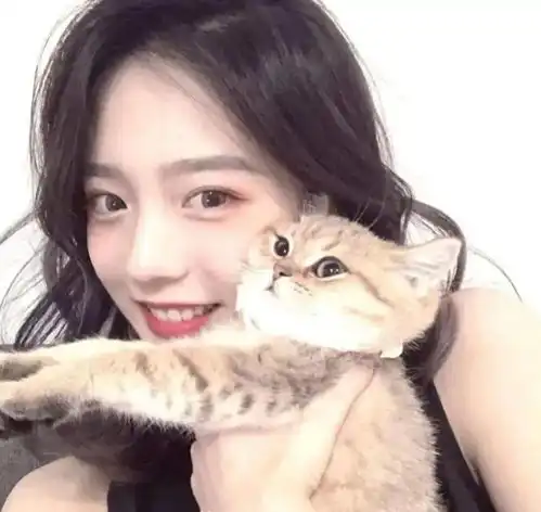  头像图片丨女生头像丨可爱的猫系女头1214