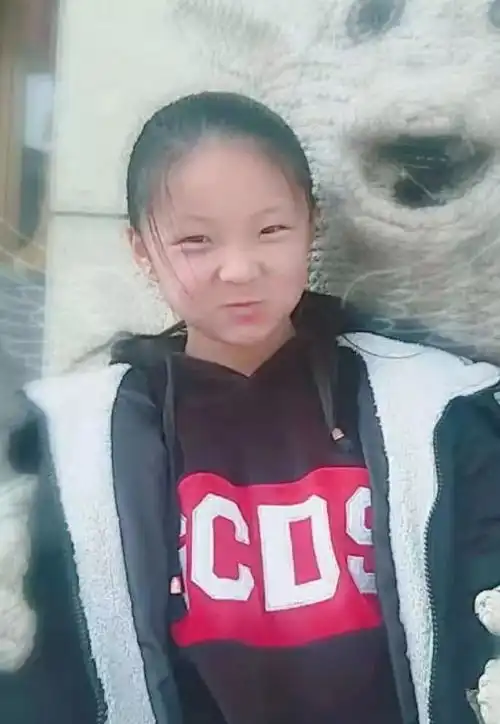  急菏泽11岁漂亮女童离家出走至今未归家人急死了
