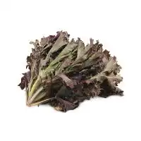  叶菜春播绿色食品新鲜水果有机蔬菜天然乳品肉禽海鲜