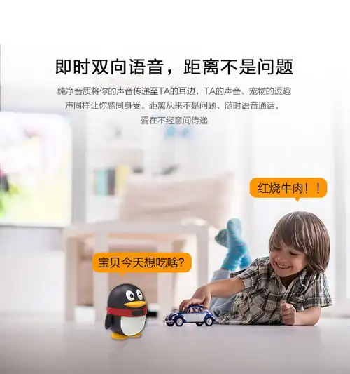  黑知了qq智能摄像机