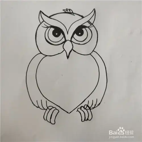  怎么画一只可爱的猫头鹰简笔画