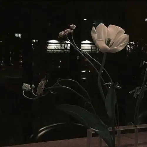  子衿暗黑系花卉背景图