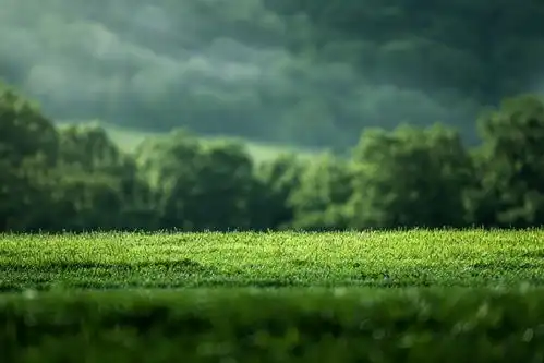  绿色清新自然风景桌面壁纸摄影图下载至来源处
