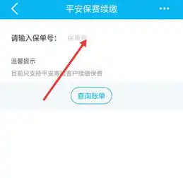  平安电话车险怎么网上支付