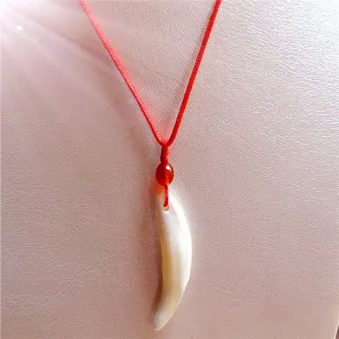 开光辟邪铜钱吊坠黑狗牙吊坠红绳项链男女饰品成人宝宝辟邪转运
