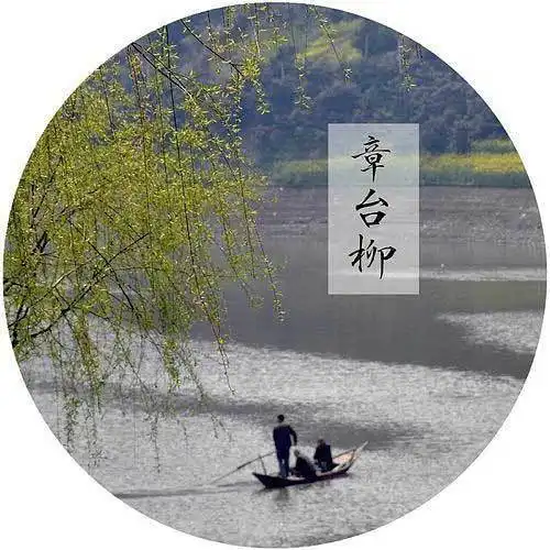 善的头像图片善待朋友