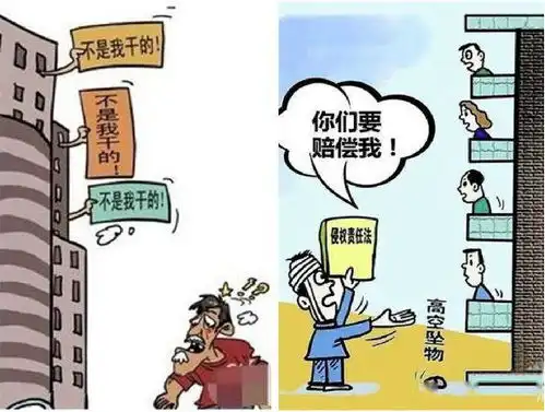  蒙城某小区新车放在停车位被高空坠落的百叶窗砸坏