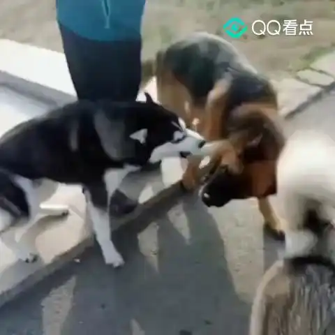  小的估计你也弄不过,太有趣了