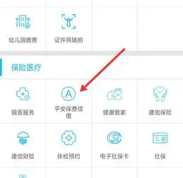  平安电话车险怎么网上支付