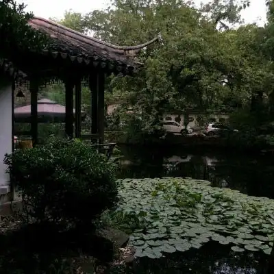  微信头像图片大全清新2019最新风景唯美头像