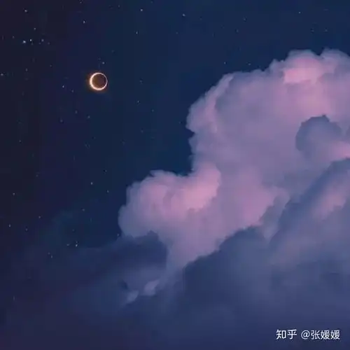 喜欢你,像喜欢春天的熊