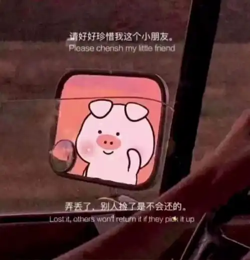  请好好珍惜我这个小朋友弄丢了别人捡了是不会还的表情包下载请好好珍惜我这个小朋友弄丢了别人捡了是不会还的表情包图片文案大全v1.0嗨客手机站