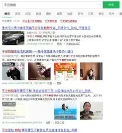  平安车险赖赔案件终于开庭,高锋提交视频证据达10个g