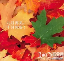头像要炸了似的怎么办枫