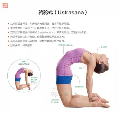  健身这6个开肩美背的瑜伽动作太棒了