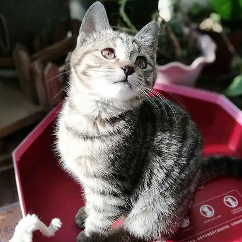  上海有爱吗