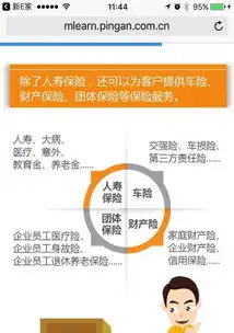 中国平安专业的商业保险咨询服务,人寿险,车险,意外