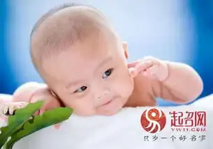 戴姓头像微信图片名字