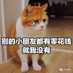  乞讨专用表情包,转需