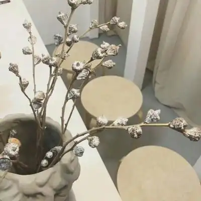  白色系头像萌物和家居