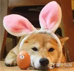 柴犬哈士奇头像图片魔性