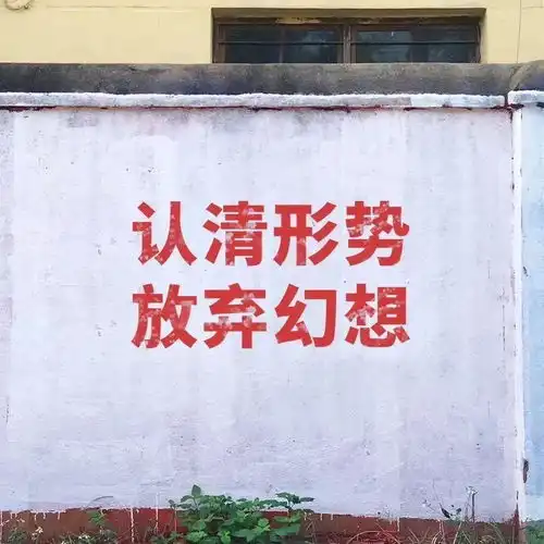  小众搞怪系列头像背景