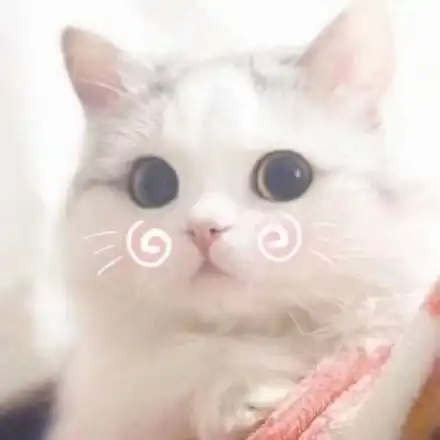 萌宠可爱猫咪头像一个世