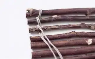  神操作路边捡的树枝,回家做成了花盆,美爆了