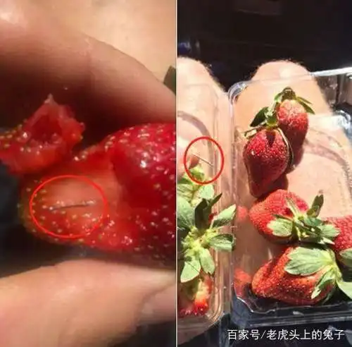  在草莓发现藏针前,其实薯片早有端倪,网友气愤这种人有病