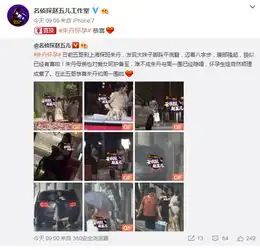  朱丹疑似怀孕朱丹周一围最新消息