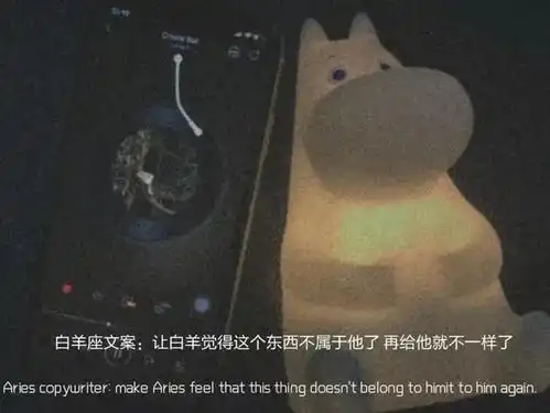  十二星座的专属文案句子1.0