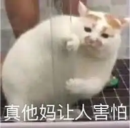  可怕大量偷窥视频明码标价,还能私人订制